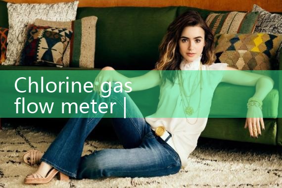 chlorine gas flow meter|mass flowmeter
