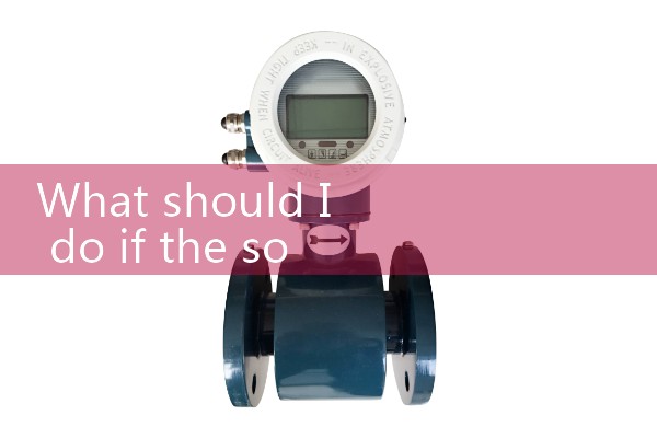 Sodium flowmeter