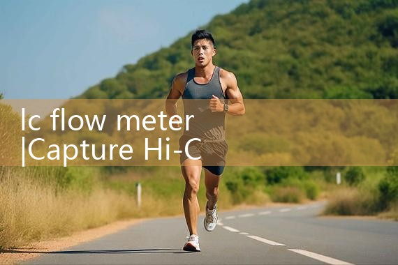 lc flow meter|mass flowmeter