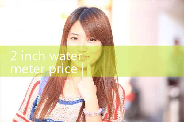 2 inch water meter price|mass flowmeter