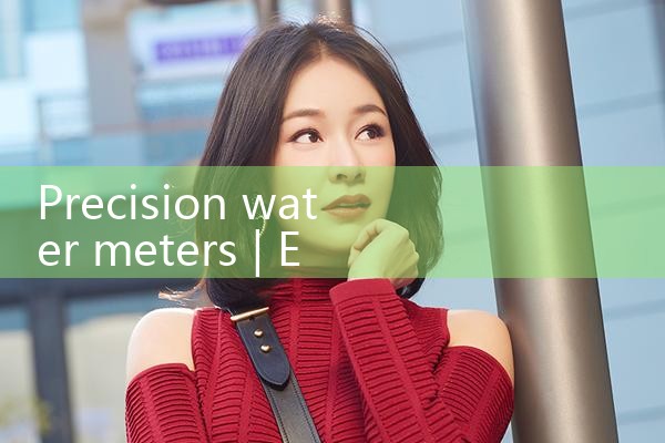 precision water meters|mass flowmeter