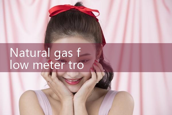 natural gas flow meter troubleshooting|arduino flow meter