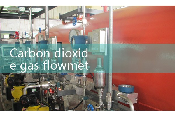 Carbon dioxide gas flowmeter