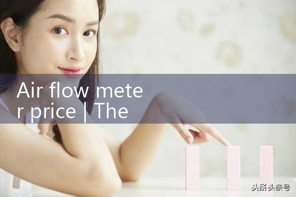 air flow meter price|mass flowmeter