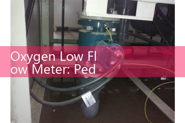 Oxygen Low Flow Meter: Pediatric and Micro-Therapy Precision Regulators