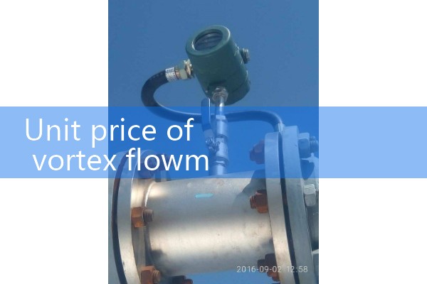 Unit price of vortex flowmeter