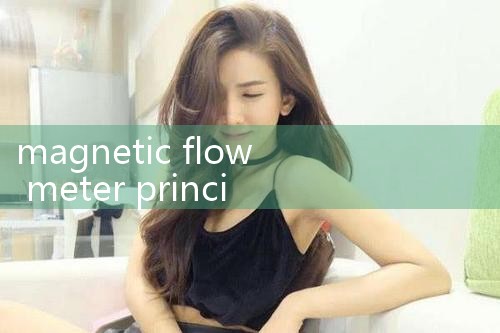 magnetic flow meter principle|arduino flow meter