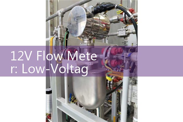 12V Flow Meter: Low-Voltage DC Powered Agricultural Spray Control Valves