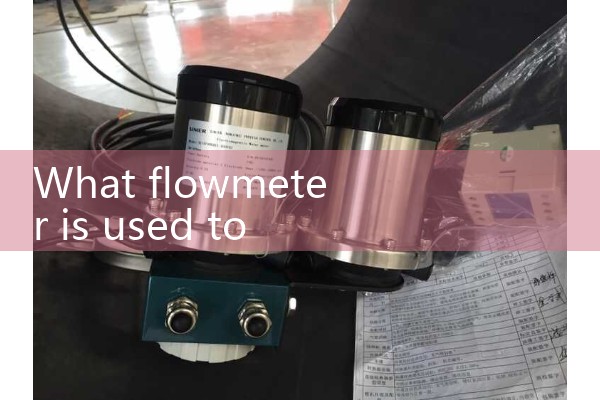 Flow meter for measuring steam