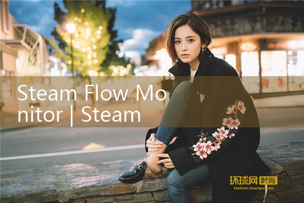 steam flow monitor|mass flowmeter