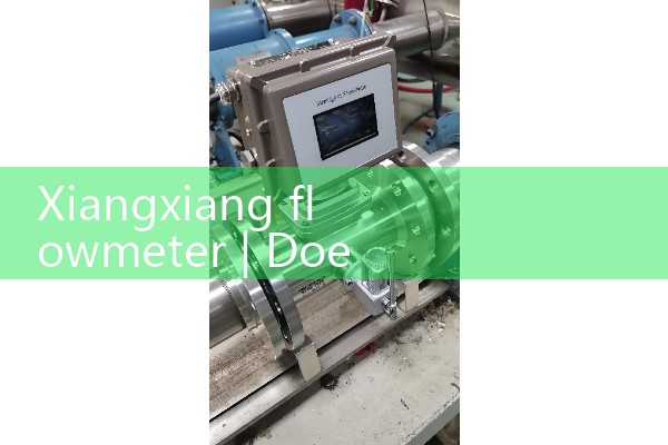 Xiangxiang flowmeter