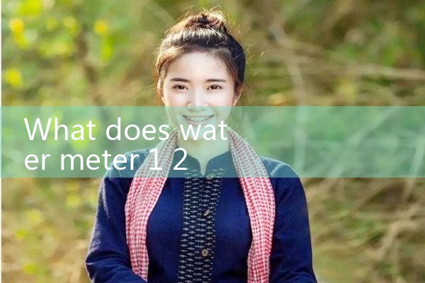 water meter 1 2|mass flowmeter