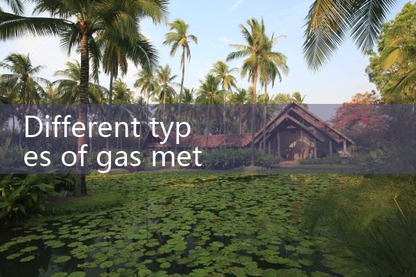 different types of gas meters|mass flowmeter