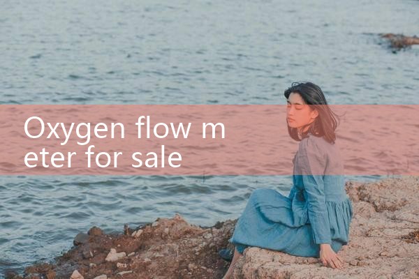 oxygen flow meter for sale|coriolis mass flow meter