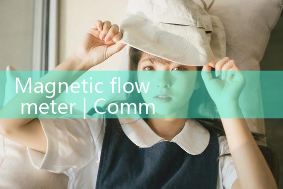 magnetic flow meter|coriolis mass flow meter