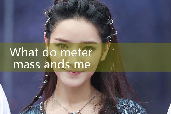 meter mass|mass flowmeter