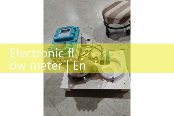 electronic flow meter
