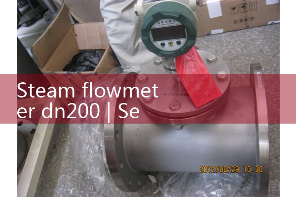 Steam flow meter dn200