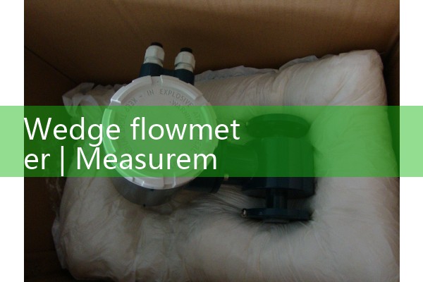 Wedge Flow meter 