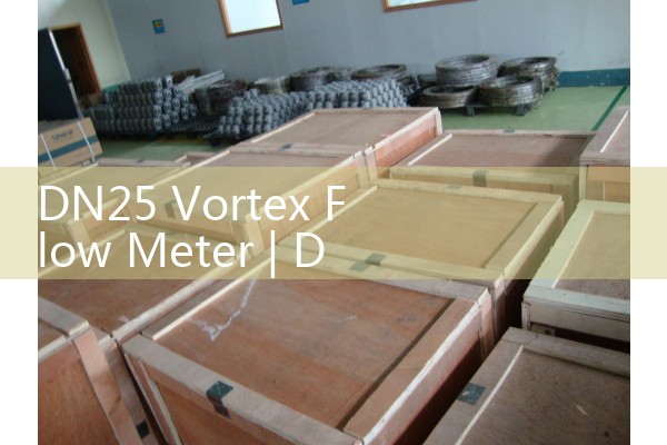 DN25 vortex flowmeter