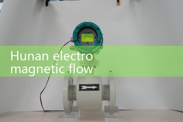Hunan electromagnetic flowmeter