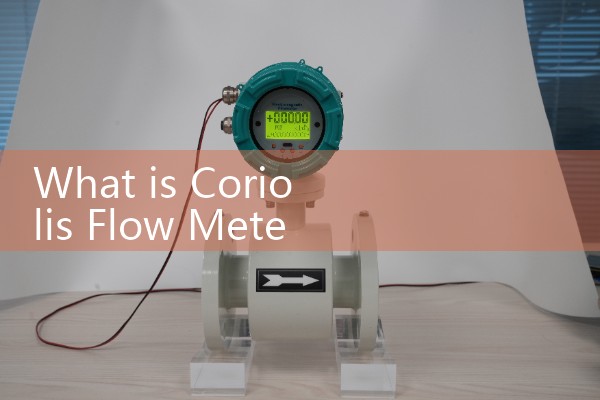 coriolis flow meter price