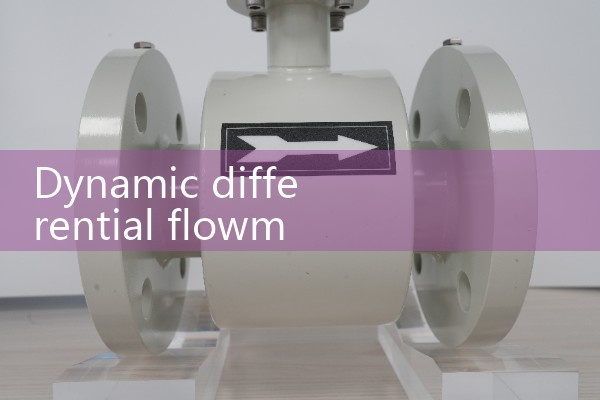 Dynamic differential flowmeter