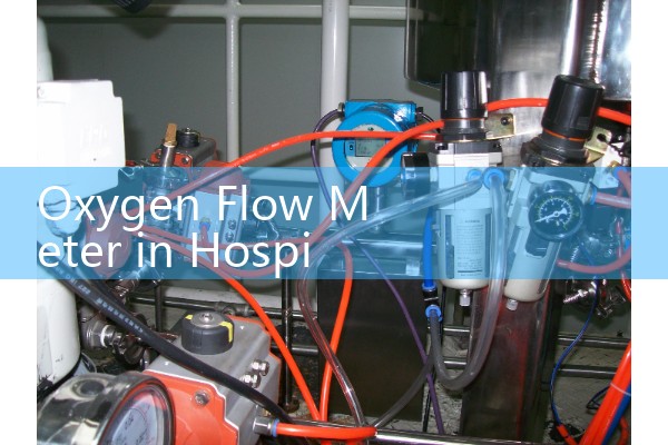 Oxygen Flow Meter in Hospital: Central Facility Thorpe Tube Safety Systems