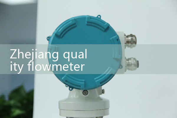 Zhejiang Quality Flow Meter Installation Manufacturer
