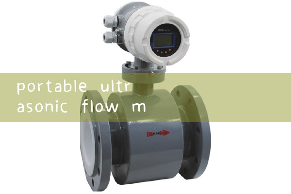 portable ultrasonic flow meter|venturi meter