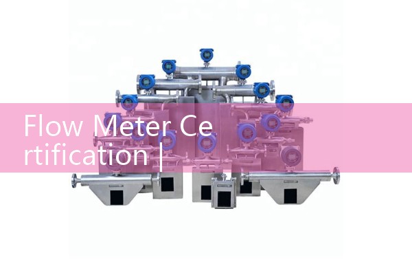 Flow meter certification