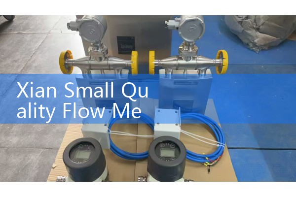 Xian Small Quality Flow Meter Manufacturer