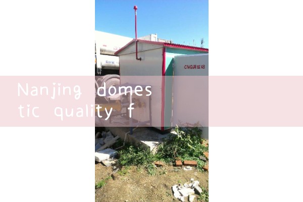 Nanjing domestic quality flowmeter manufacturer